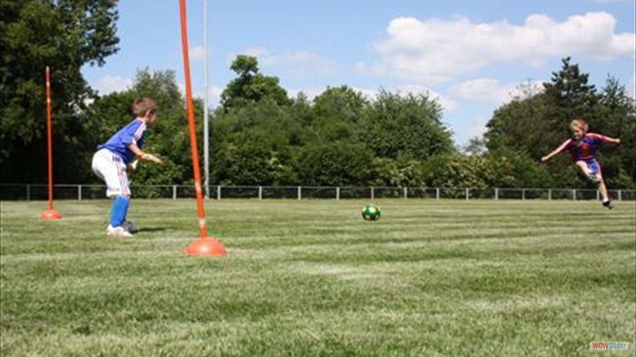 saison 2009 2010065